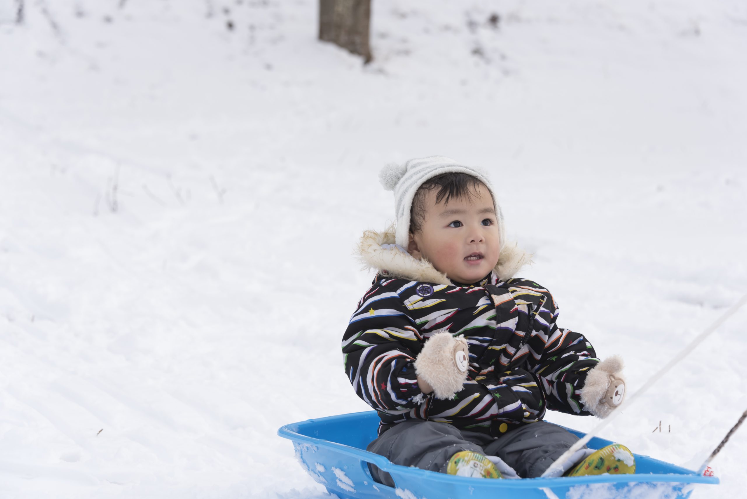 赤ちゃんの雪遊びはいつから 赤ちゃん成長ナビ 小児科専門医師 監修
